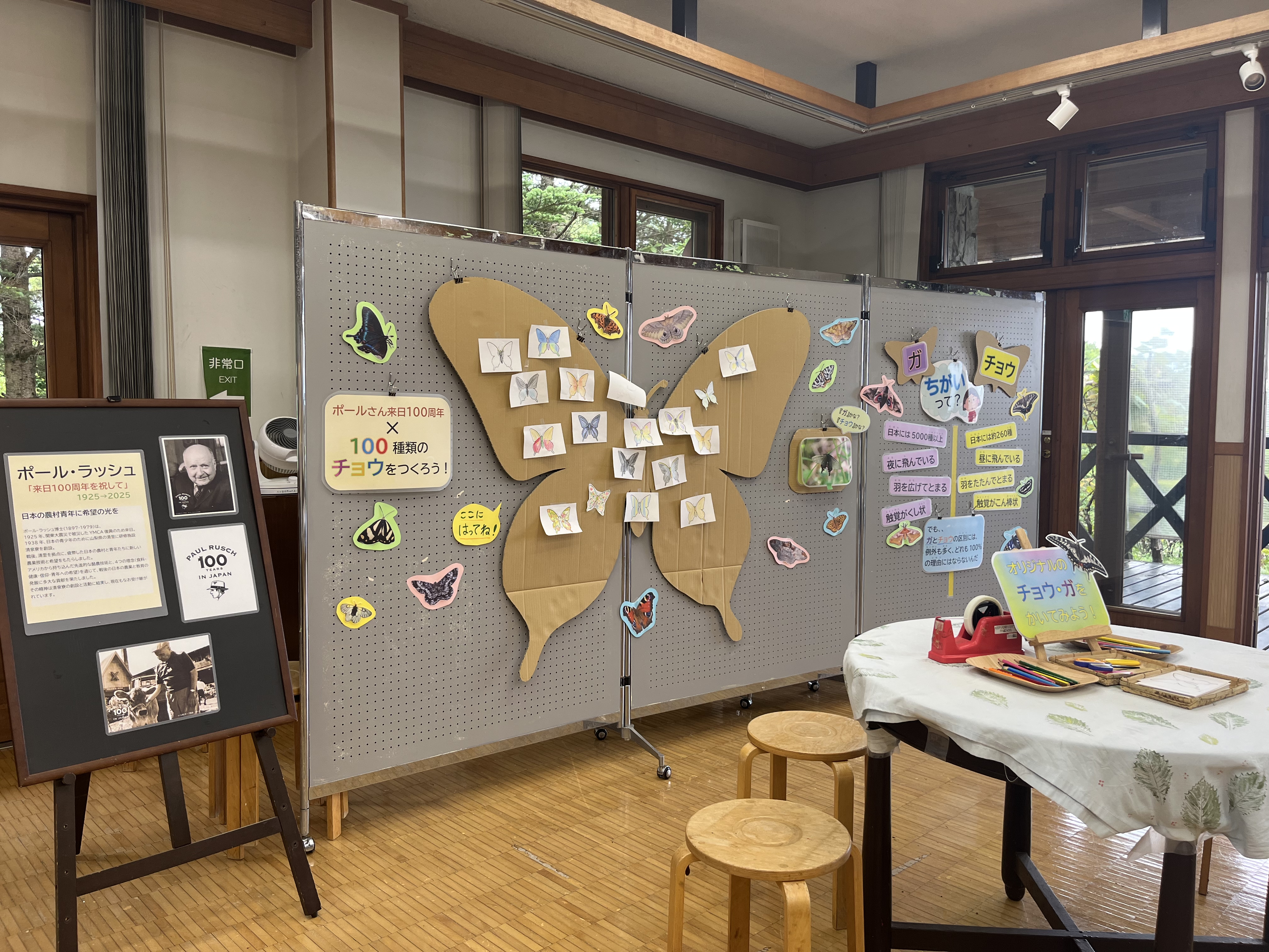 100種類のチョウをつくろう！展示イメージ