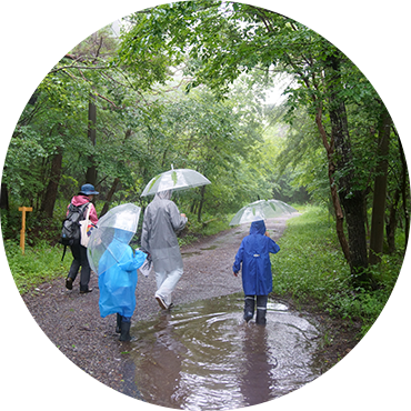 雨の日の過ごし方