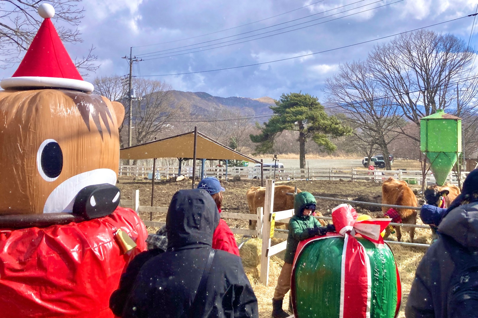 ジャージー牛への感謝礼拝式