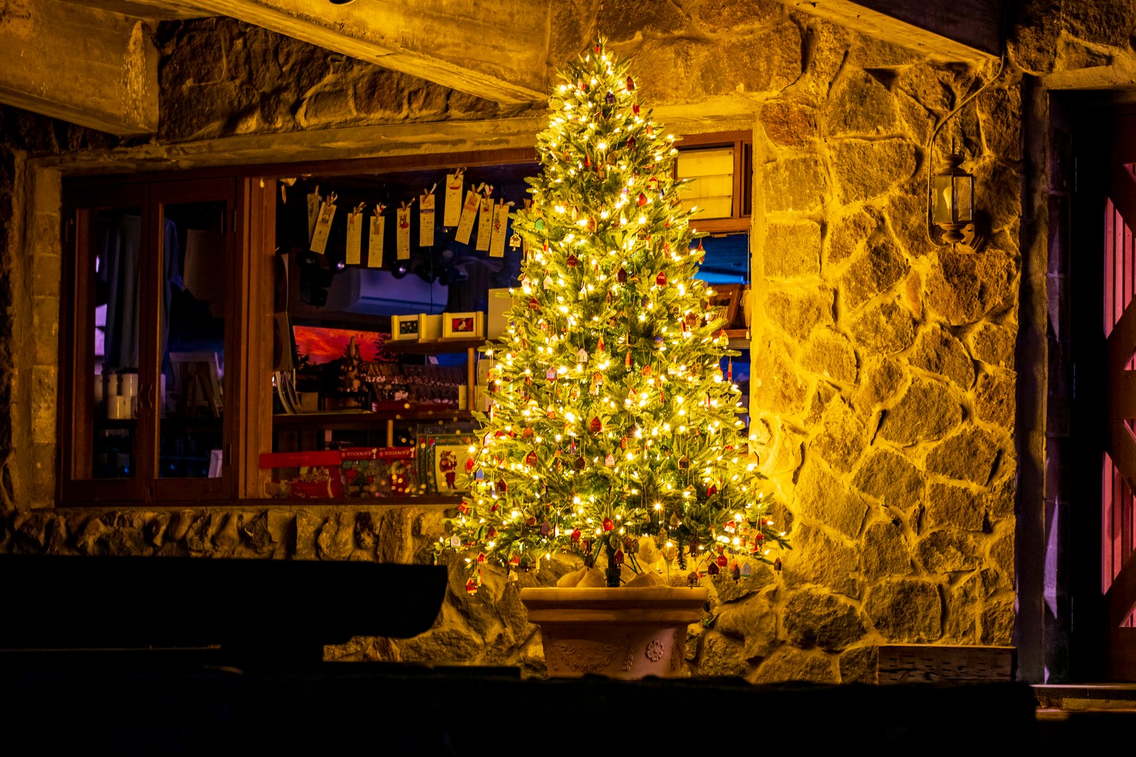 ギフトショップ前のツリー