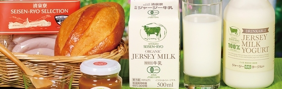 オンライン・ショップ
