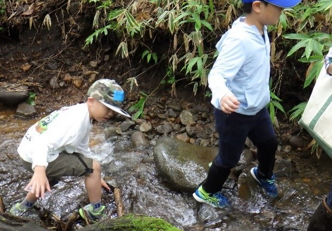 山梨の名水のひみつをさぐる！いきものみつけ隊