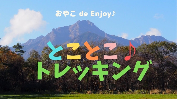 紅葉の森を歩く♪　おやこdeとことこトレッキング！！