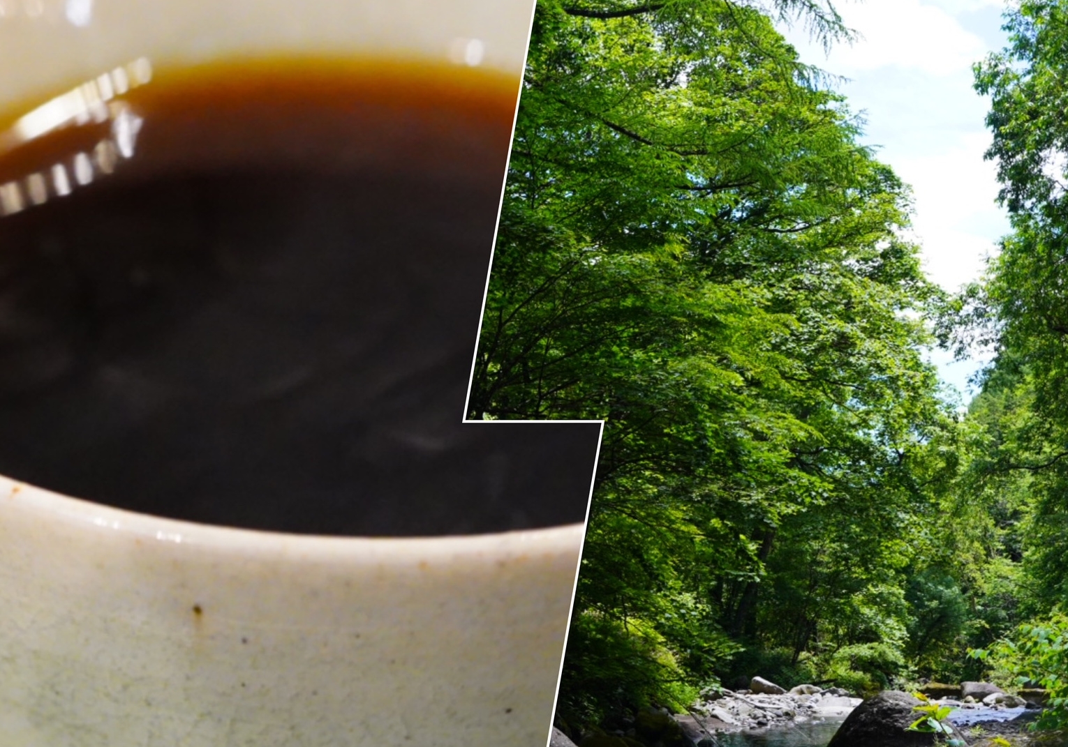 森deリトリート 森CAFE ~滝とコーヒー~
