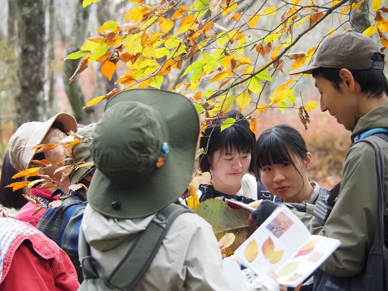 ガイドウォーク