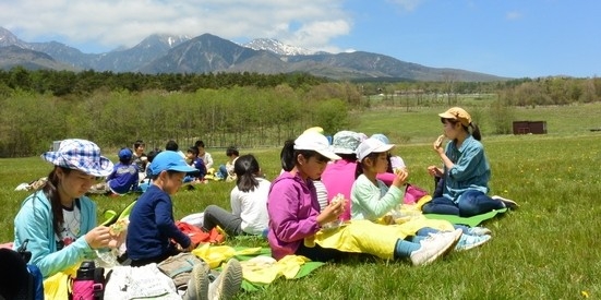 団体向け体験プログラム