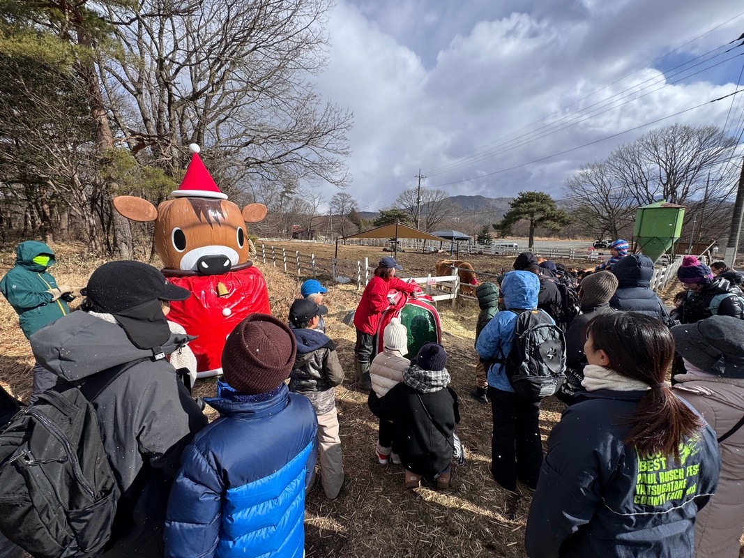 クリスマスの森の様子