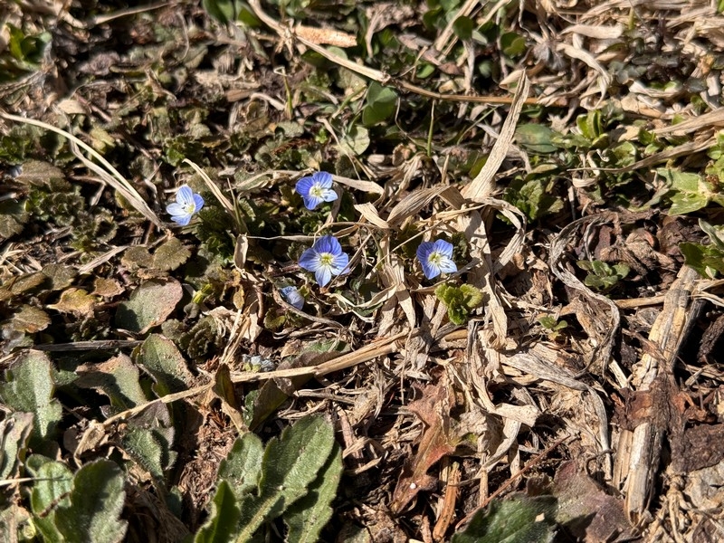 土器づくりの様子