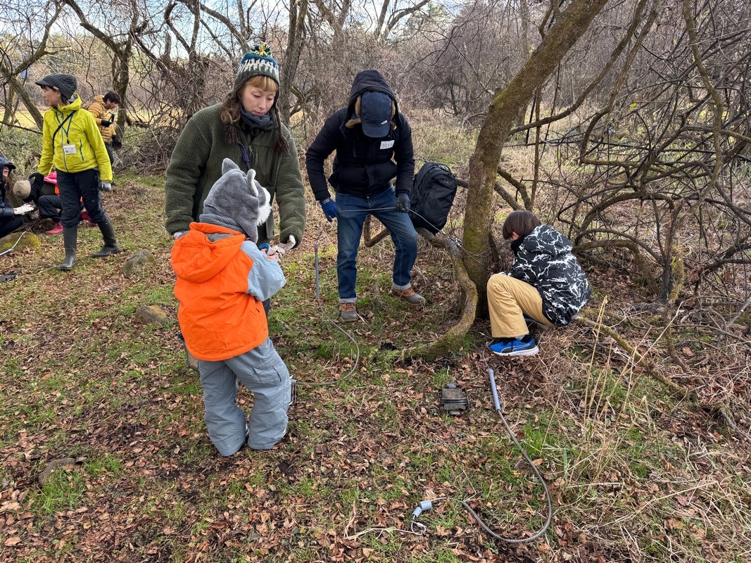 プログラムの画像