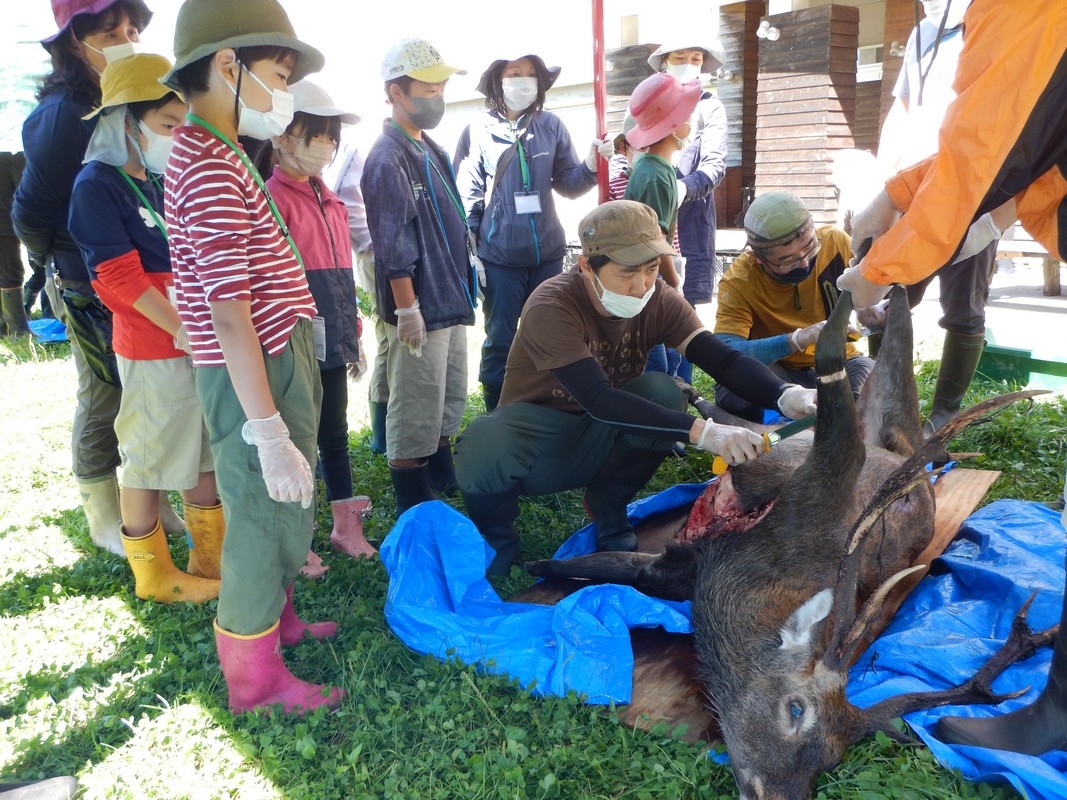 プログラムの画像