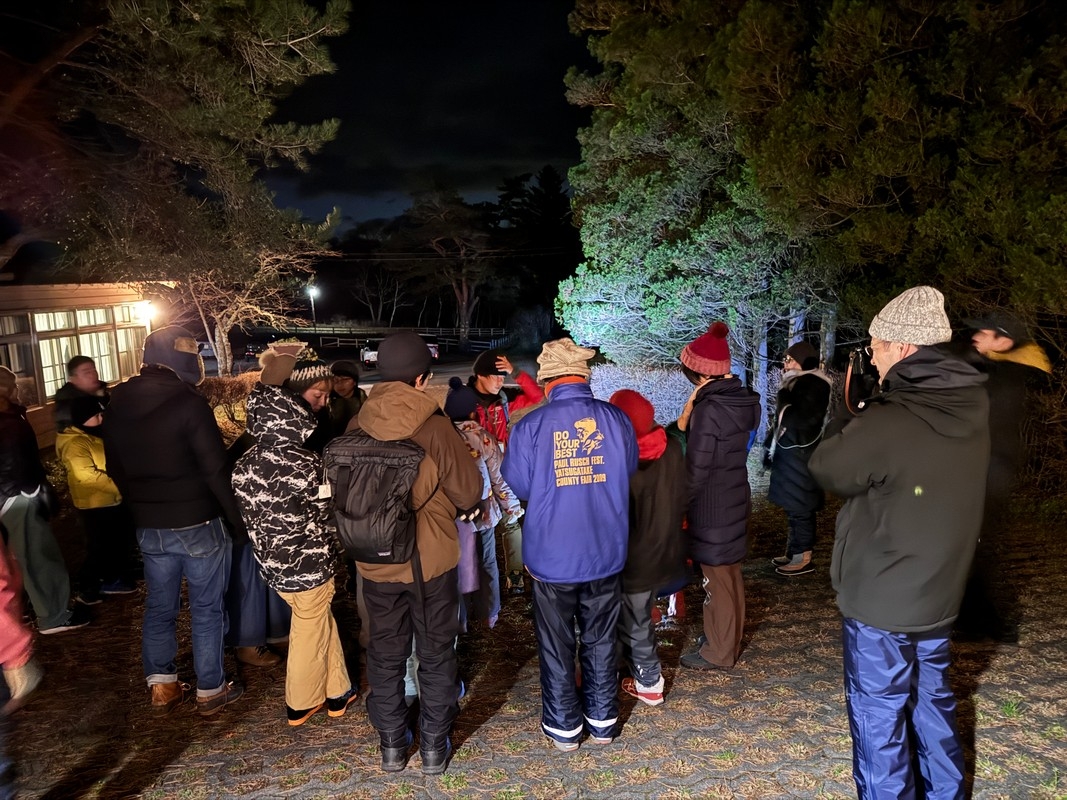 プログラムの画像