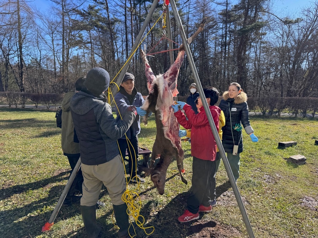 プログラムの画像