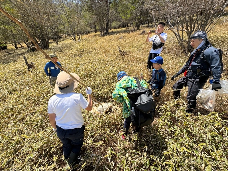 野草探しの様子