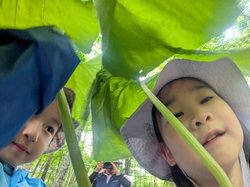 キープ森のようちえん♪