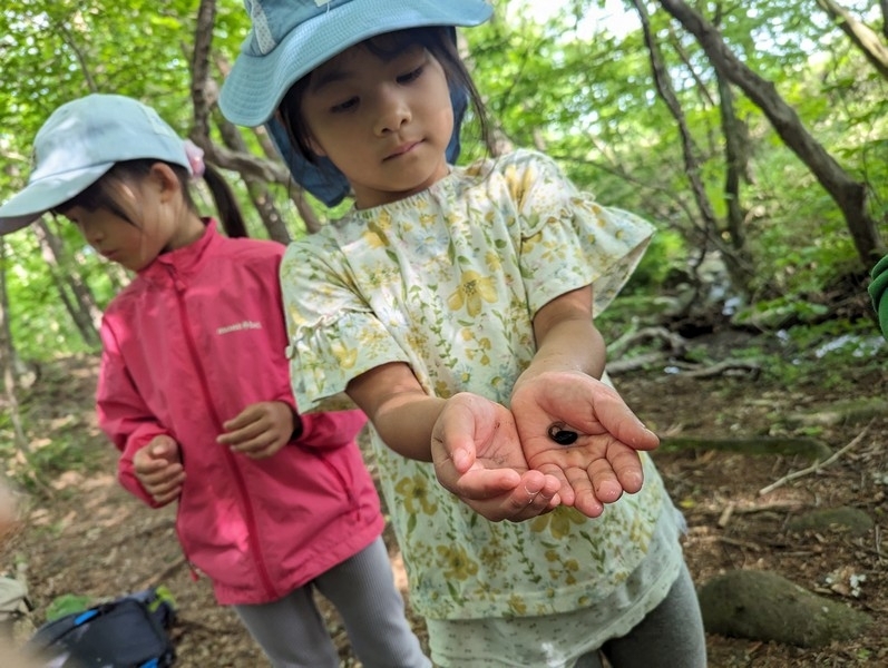 キープ森のようちえん♪