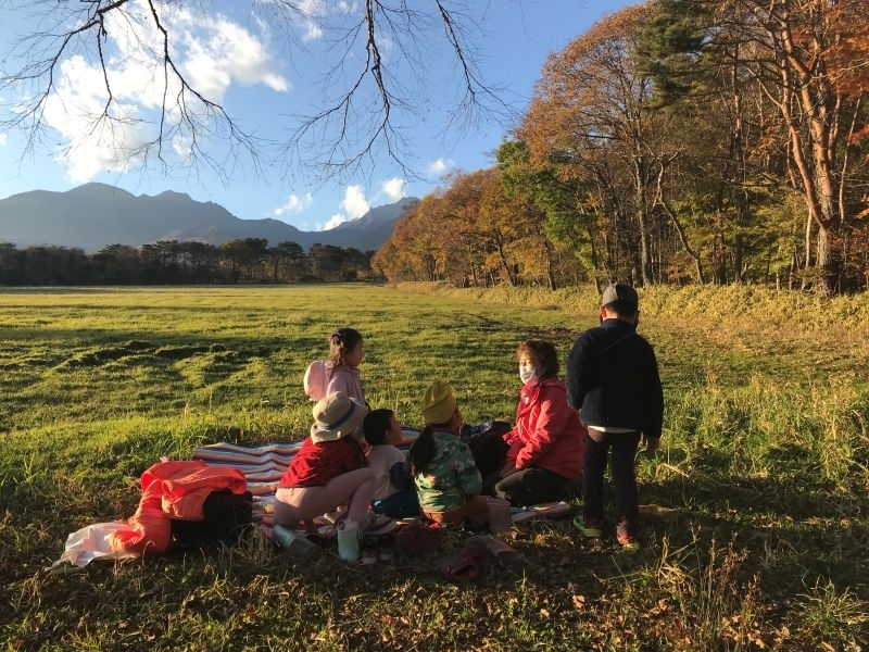 秋の森での探検