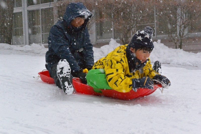 森のようちえん♪アドバンス!での活動の様子