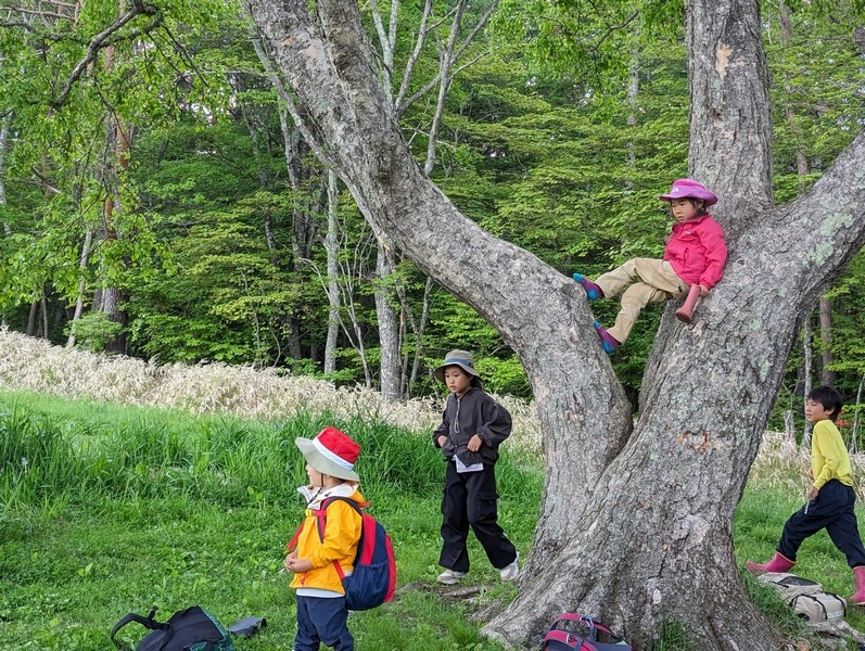 森のようちえん♪アドバンス！での活動の様子
