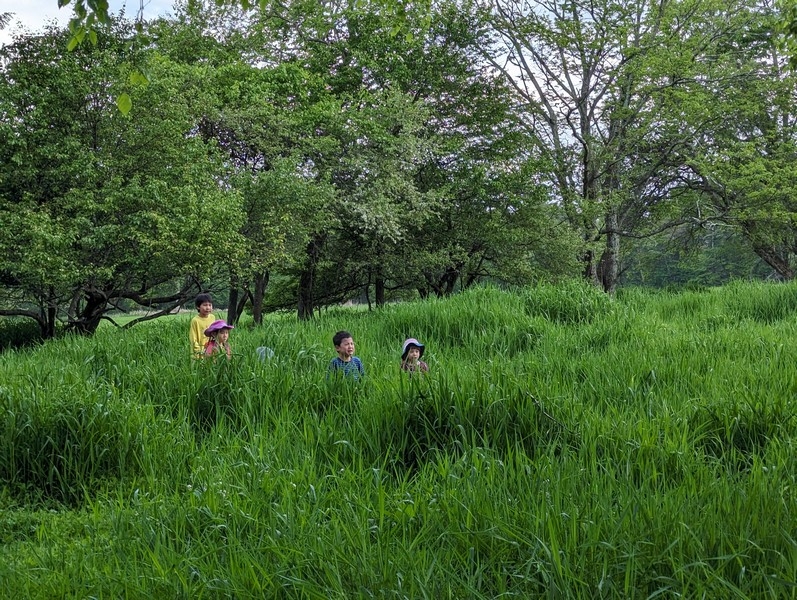 森のようちえん♪アドバンス！での活動の様子