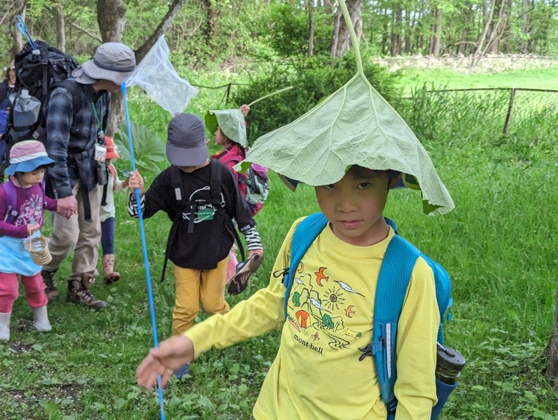 森のようちえん♪アドバンス！での活動の様子