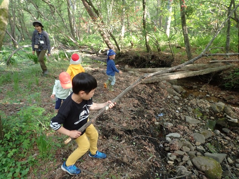 森のようちえん♪アドバンス！での活動の様子