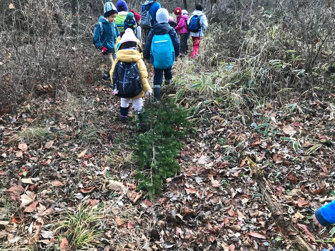 冬の森でクリスマスを楽しむ