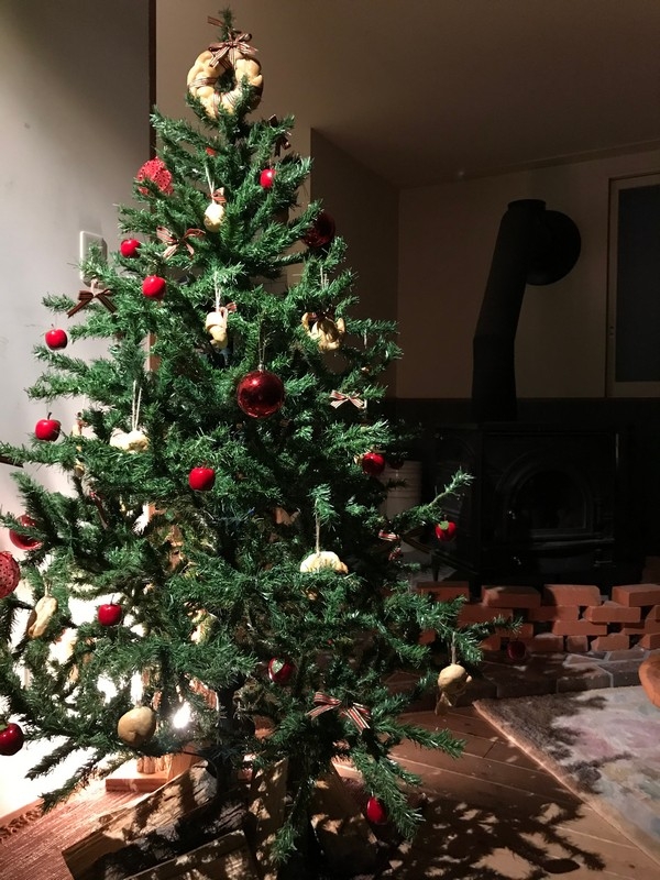 子どもたちの森遊び