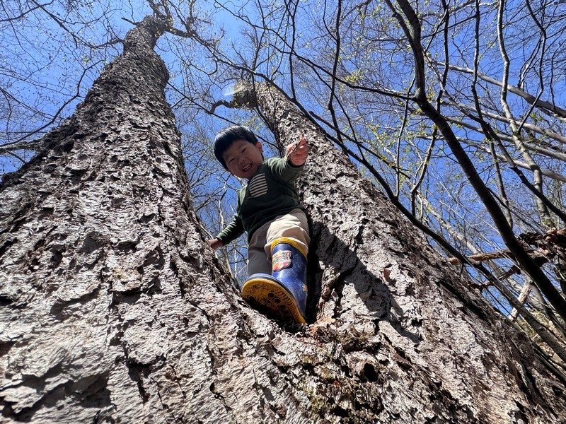 キープ森のようちえん♪