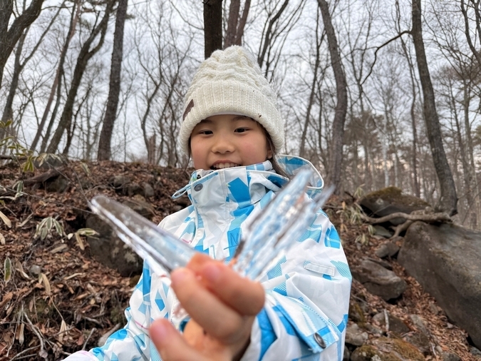 森での子どもたちの活動の様子