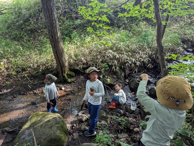 梅雨時期の森の様子