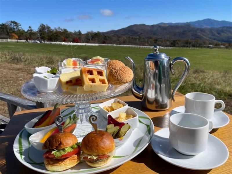 ダミーイメージ