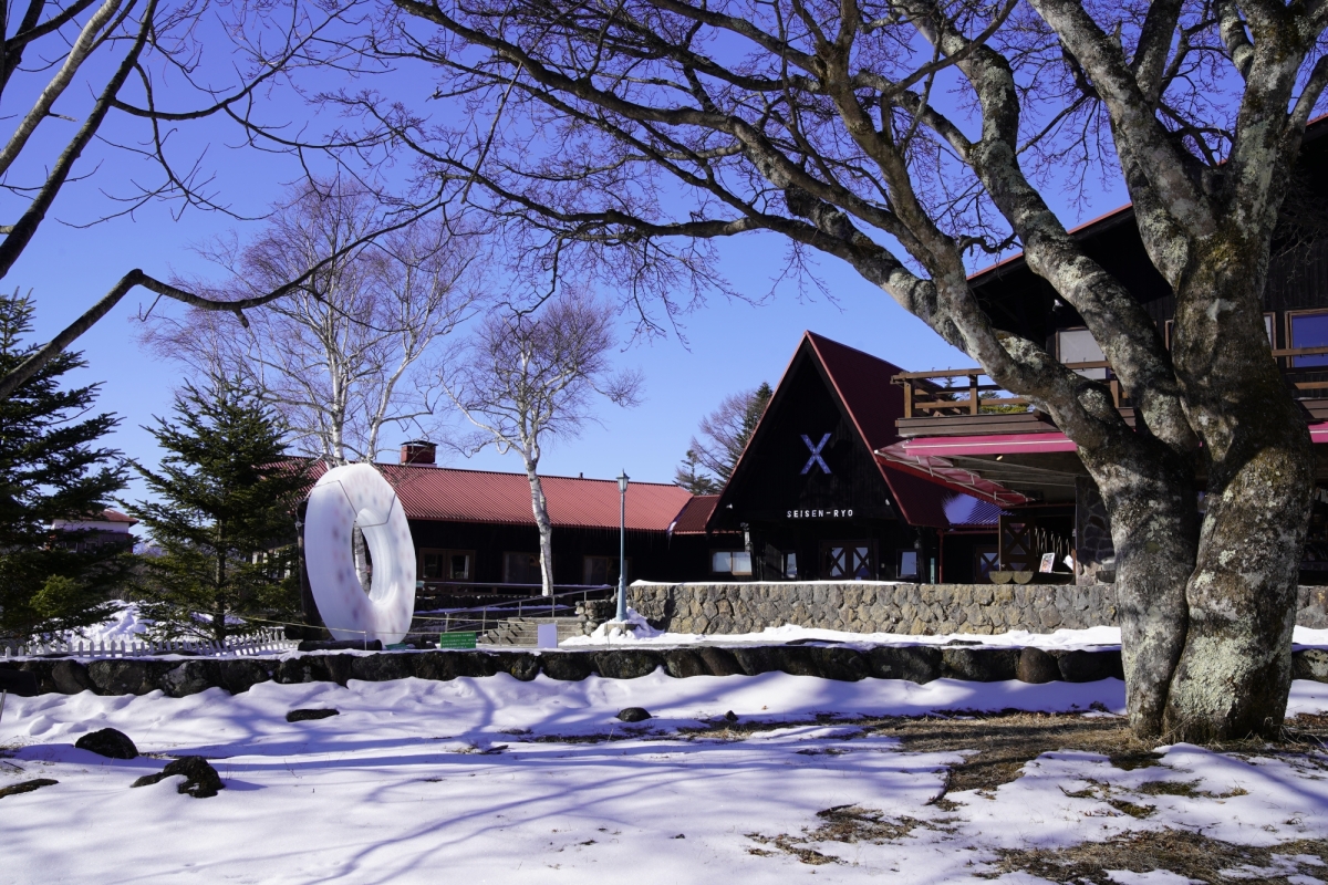 ダミーイメージ