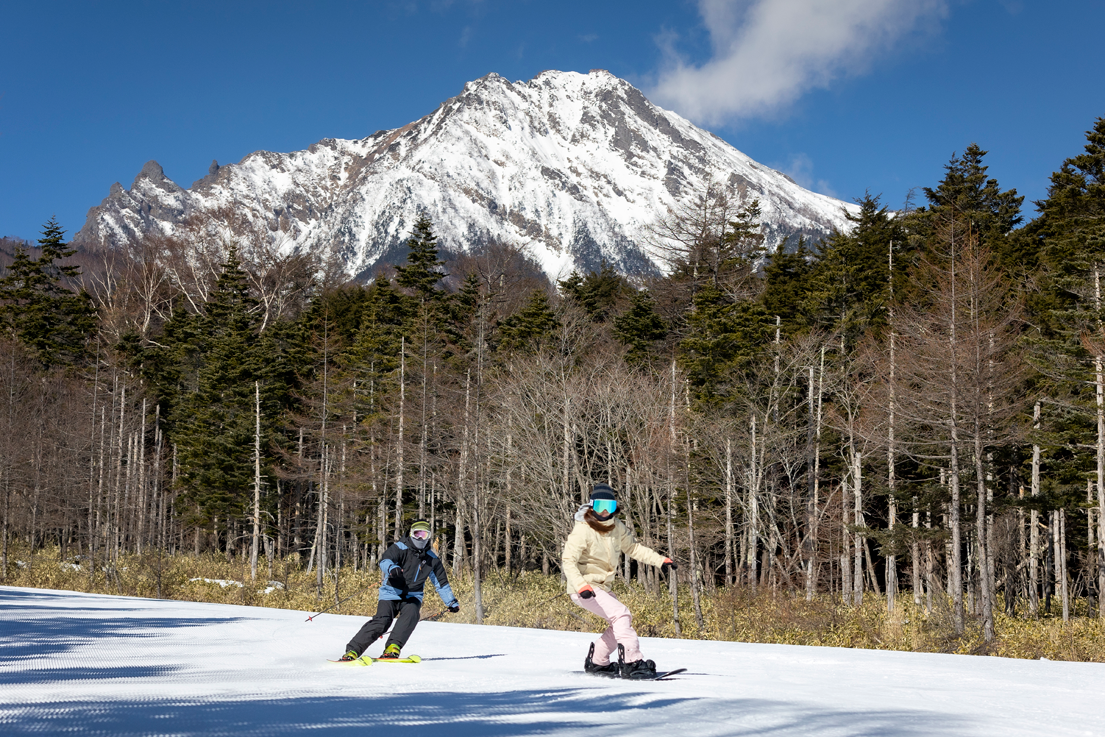 ダミーイメージ