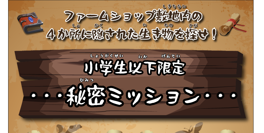 秘密のミッションの様子