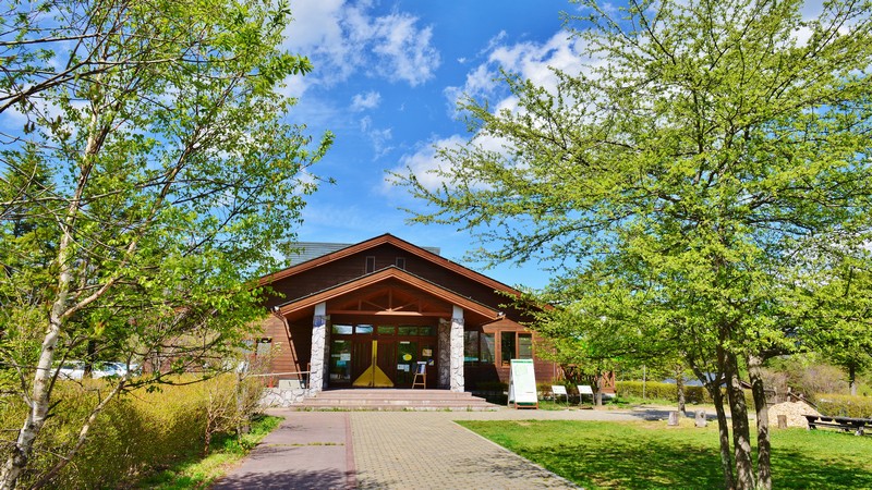 昆虫展示・クラフト体験の様子