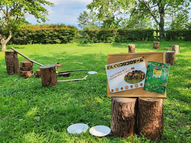 野外展示で遊ぶ様子