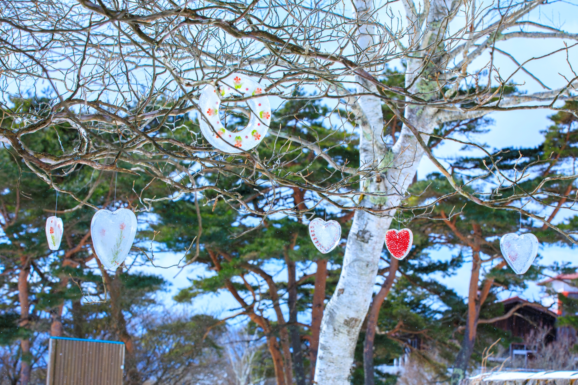 ハート型氷のリース